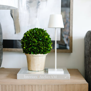 Home décor and accessories — White Willow interior design boutique Cullman Alabama