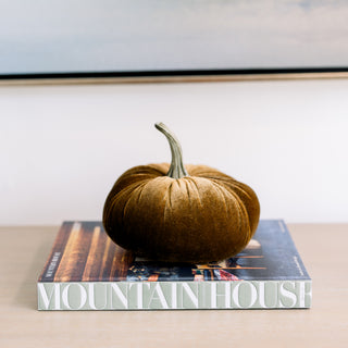 Velvet Pumpkins 6.25"