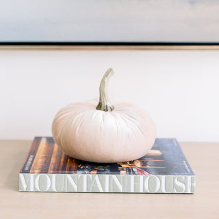 Velvet Pumpkins 6.25"