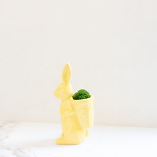 Embossed Bunny w/ Basket
