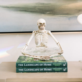 Skeleton Glass Plate
