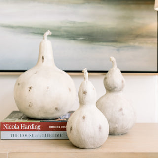 Fall Gourds