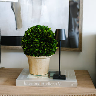 Poldina Pro Micro Lamp