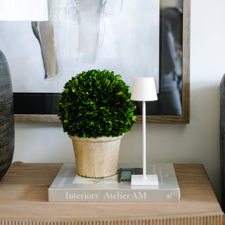 Poldina Pro Micro Lamp