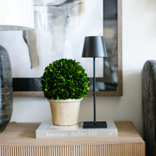 Poldina Pro Lamp