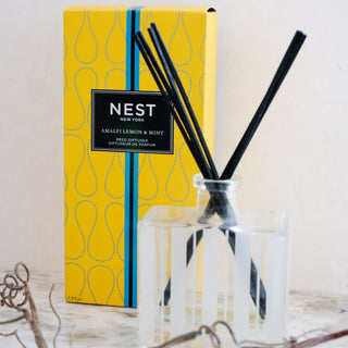 Nest Diffuser